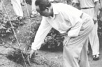 毛澤東給父母上墳的舊照