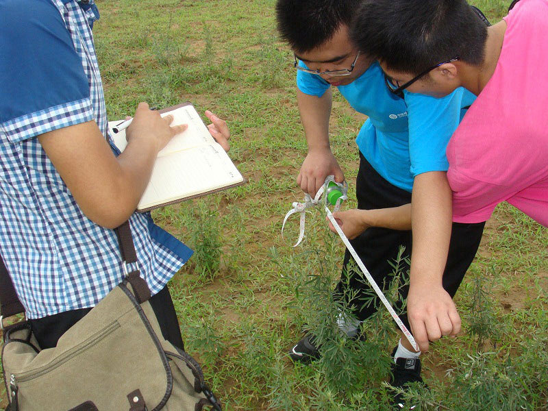 719mݴW(xu)GɫI(yng)F(tun)(du)һAε{(dio)н(jng)(yn)ٴM(jn)ЬF(xin)(chng)оD(du)Tڜy(c)_J(rn)ӷķ