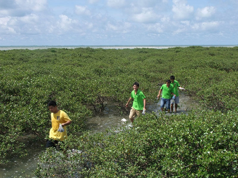 718գVW(xu)h(hun)W(xu)Ժڌ(sh)`F(tun)(du)^λڱЅ^(q)|Ϸs15̎Ľ𺣞tB(ti)΅^(q)ɼӱ