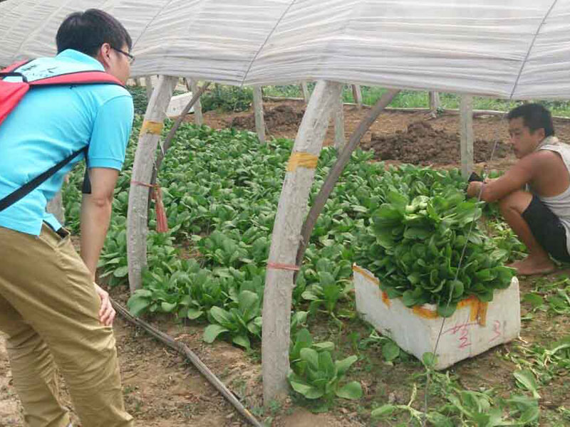 `꠆Tc(dng)?sh)r(nng)eOͨ}˽߲˴P(gun)r