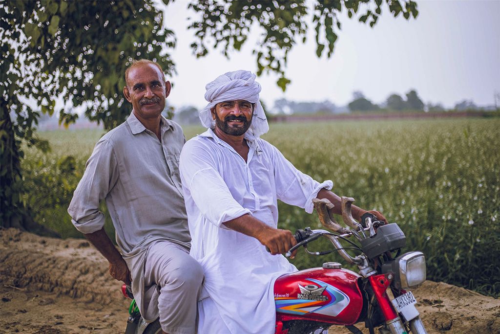 芝麻種植基地給當(dāng)?shù)厝藥砀嗑蜆I(yè)機會。（人民網(wǎng)記者 薛丹攝）
