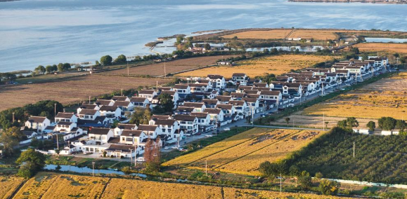 如詩如畫陽澄湖